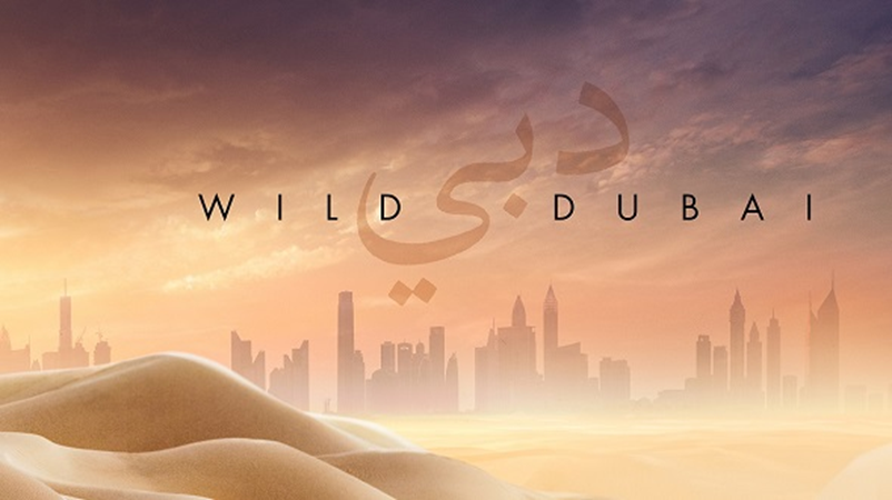 Wild Dubai